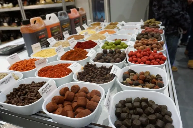 Jakie ryby łowić podczas upalnych dni? Sprawdź nasze sprawdzone wskazówki!