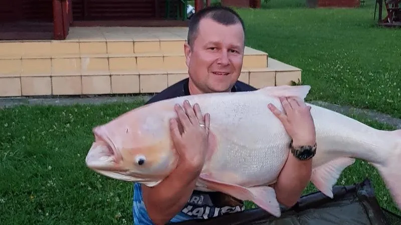 Pan Ryba: Odkryj Jaki Jest W Świecie Ryb i Morskich Stworzeń