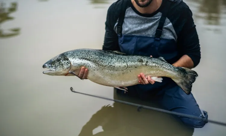 Suchą stopą przez rzekę. Przegląd woderów i spodniobutów dla wędkarzy