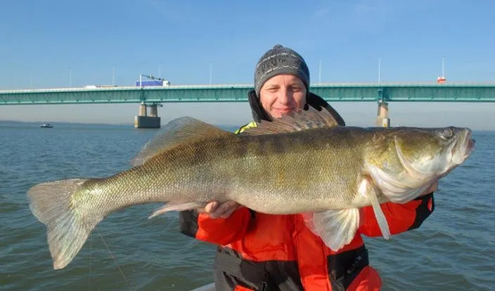 Czy w Holandii można łowić ryby bez zezwolenia? Oto, co warto wiedzieć