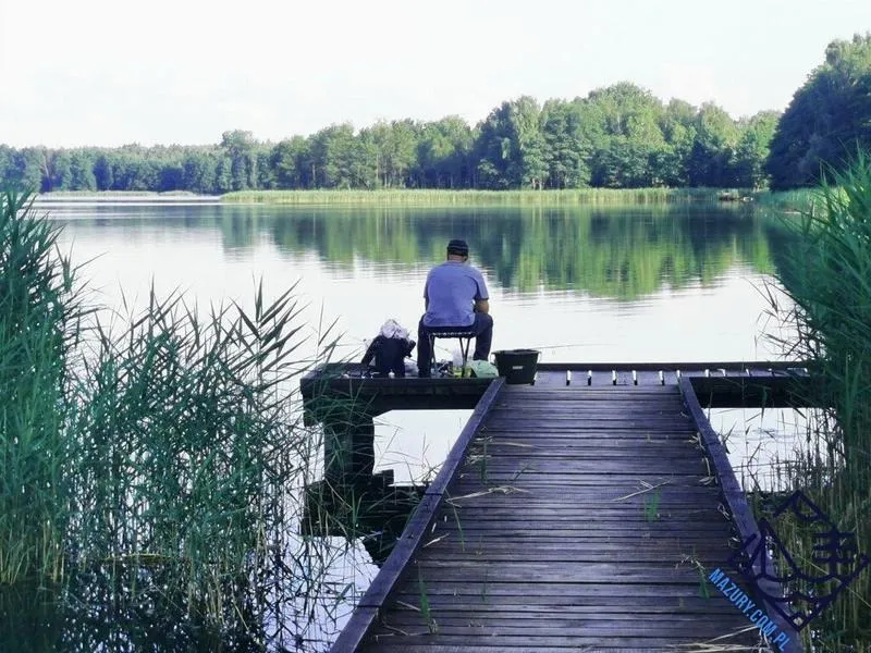 Gdzie na ryby w Mazurach w 2026 roku? Odkryj najlepsze miejsca na wędkarską przygodę!