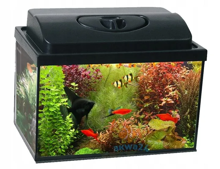 Ile rybek zmieści się w 30 litrowym akwarium? Praktyczny przewodnik dla akwarystów