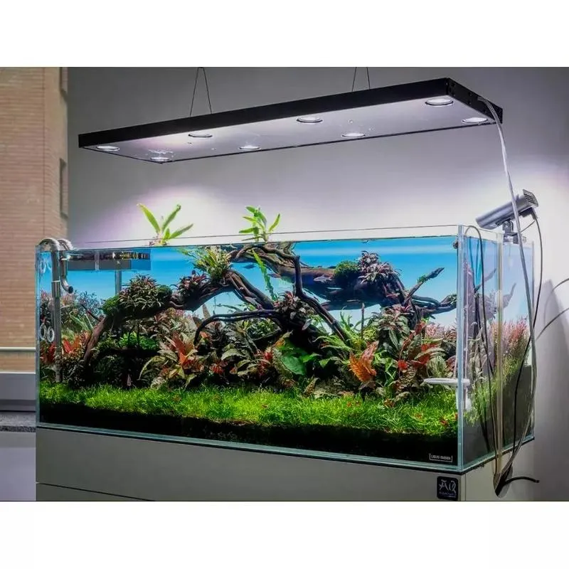 Jak często należy podmieniać wodę w akwarium? Przewodnik dla akwarystów