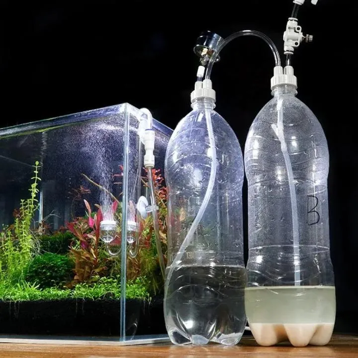 Jak stworzyć idealną bimbrownie do akwarium krok po kroku?