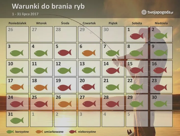 Jakie brania ryb zaskakują w dzisiejszych czasach?