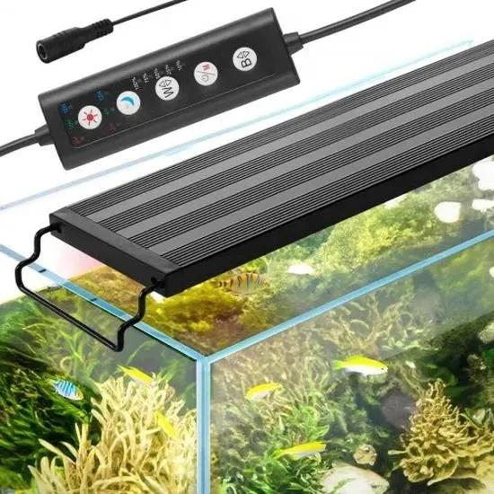 Jakie oświetlenie LED wybrać do akwarium 112l? Porady i rekomendacje