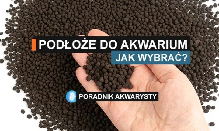 Jakie podłoże do akwarium wybrać, aby stworzyć idealne warunki dla ryb?