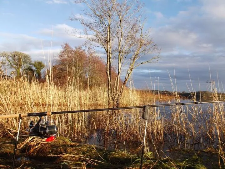 Jakie ryby biorą w listopadzie na rzece? Przewodnik dla wędkarzy