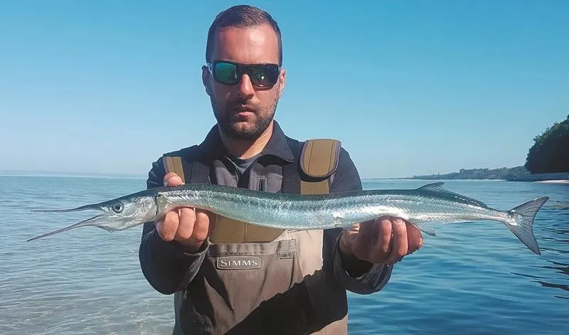 Najlepszy czas na łowienie belon – sprawdź, kiedy złapać te ryby!