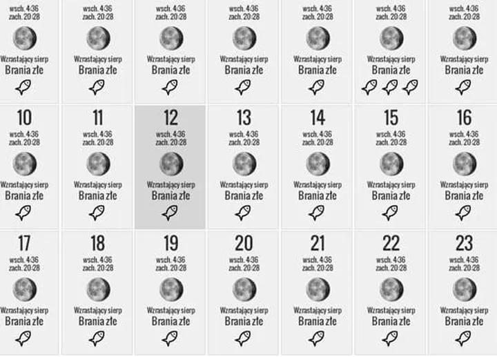 Najlepszy kalendarz brań: jakie ryby złowisz w danym okresie?