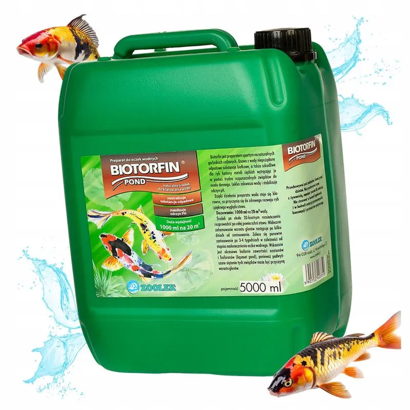 Praktyczny przewodnik: Jak skutecznie oczyścić głowę ryby do zupy?