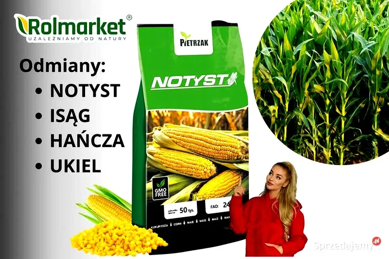 Sekrety skutecznego kiszenia kukurydzy na ryby: Przewodnik dla wędkarzy