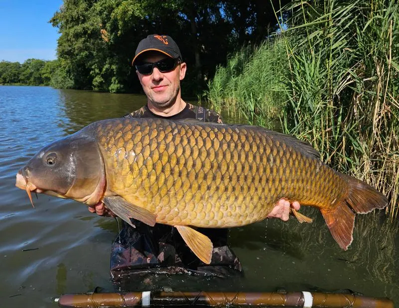 Sekrety skutecznego łowienia karpi w stawie – sprawdzone porady dla wędkarzy