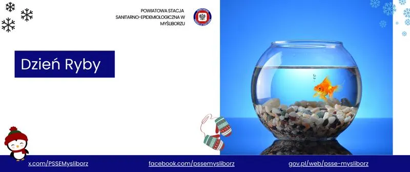 Zrozumienie świata: jakie znaczenie mają ryby w ekosystemie i kulturze ludzi