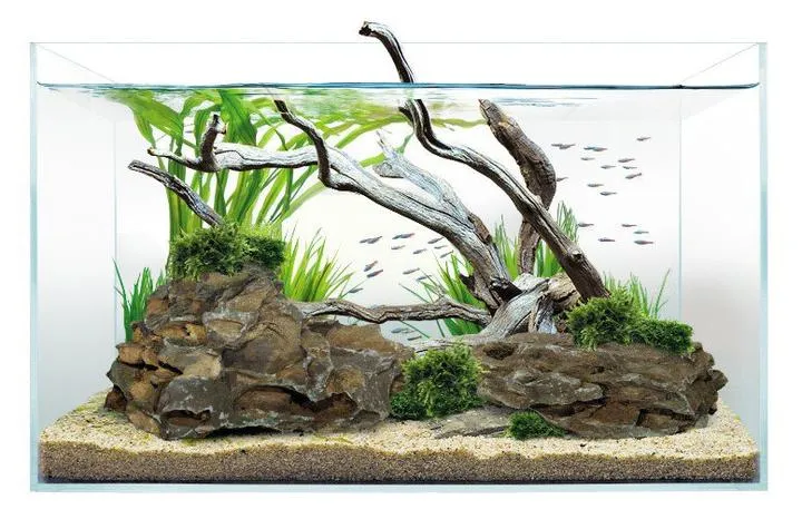 Akwarium Optiwhite vs Float