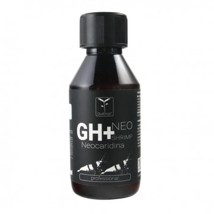 Akwarium roślinne poradnik