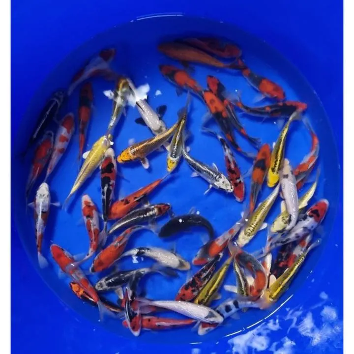 Analiza warunków wodnych