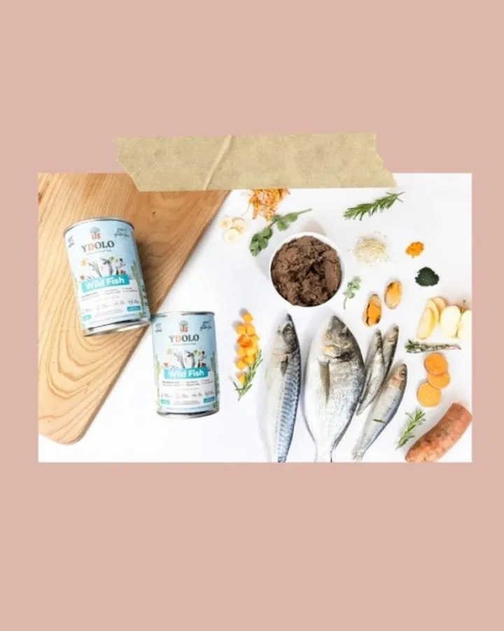 Astrologiczna kompatybilność Ryb