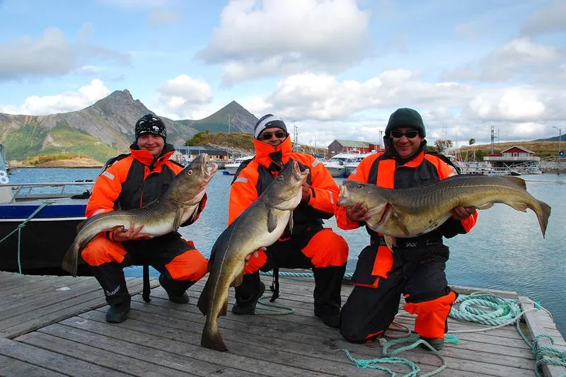 Bezpieczny przewóz ryb