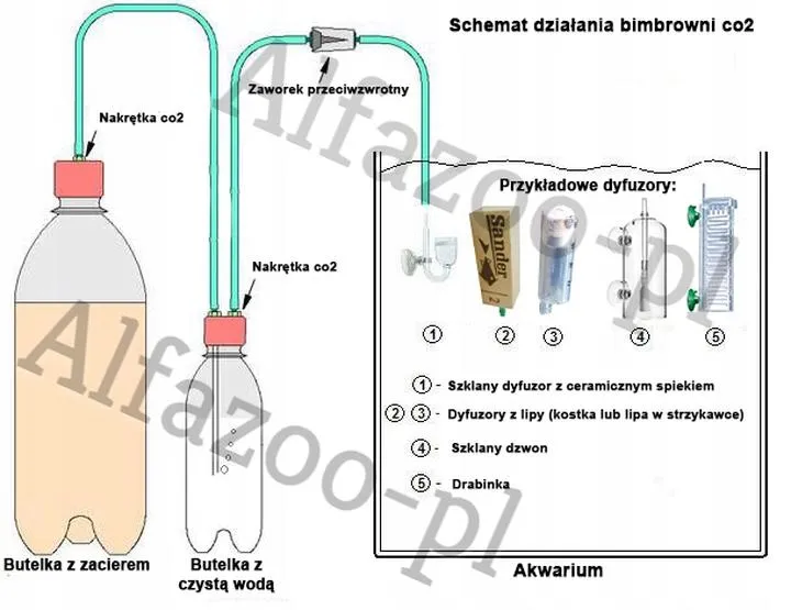 Bimbrownia CO2 do akwarium
