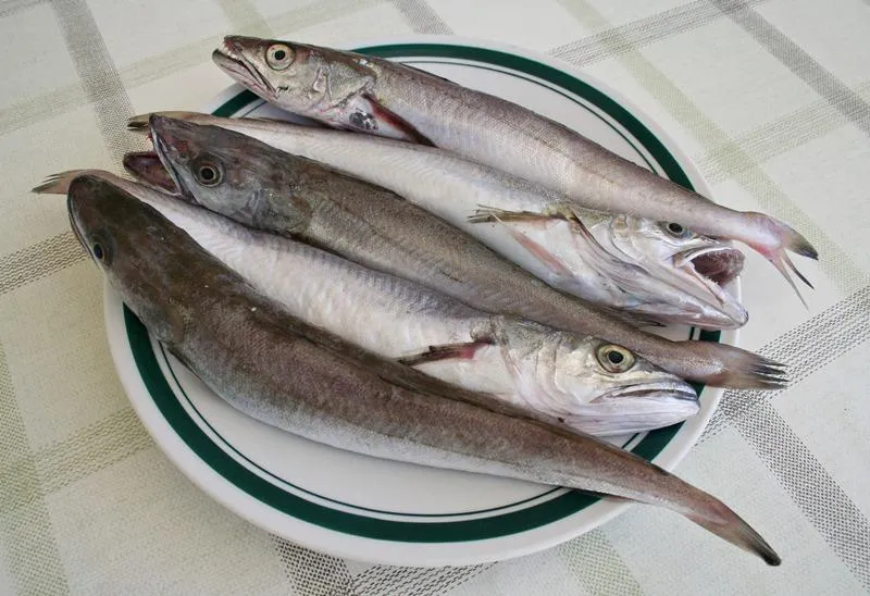 Chorwackie specjały morskie