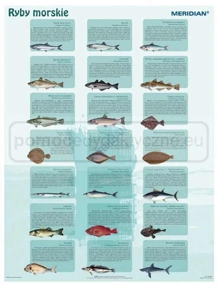 Dieta ryb morskich