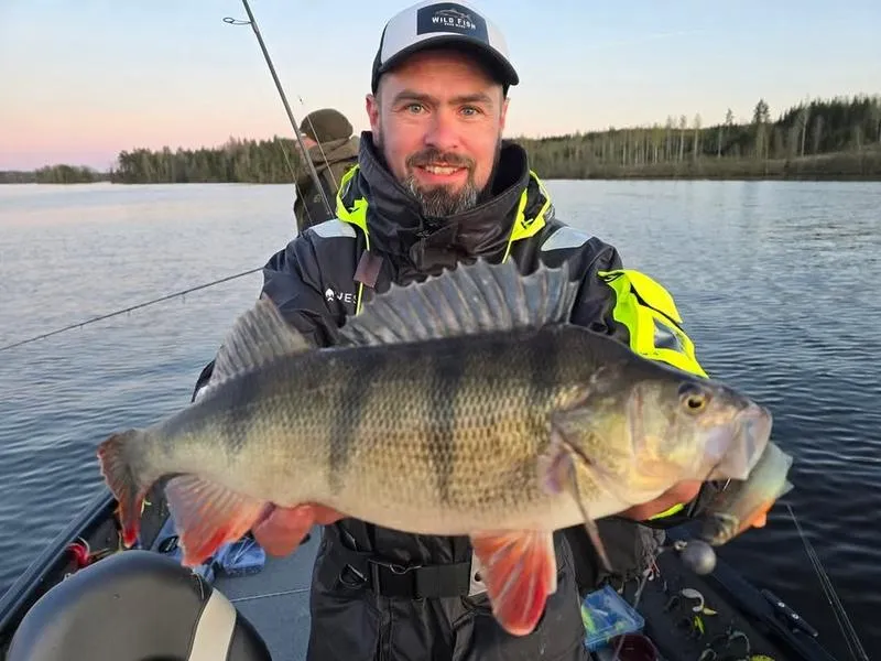 Dostawcy świeżych ryb