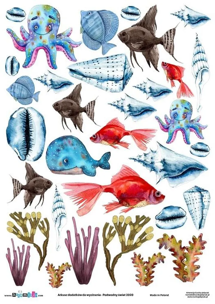 Emocje i doświadczenia nurkowe