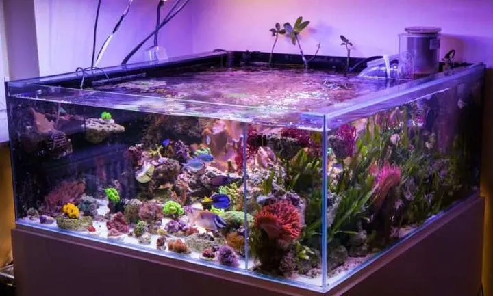 Filtracja i oświetlenie akwarium