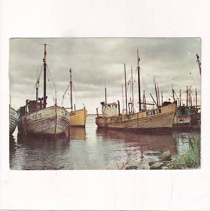 Gatunki ryb Bałtyku