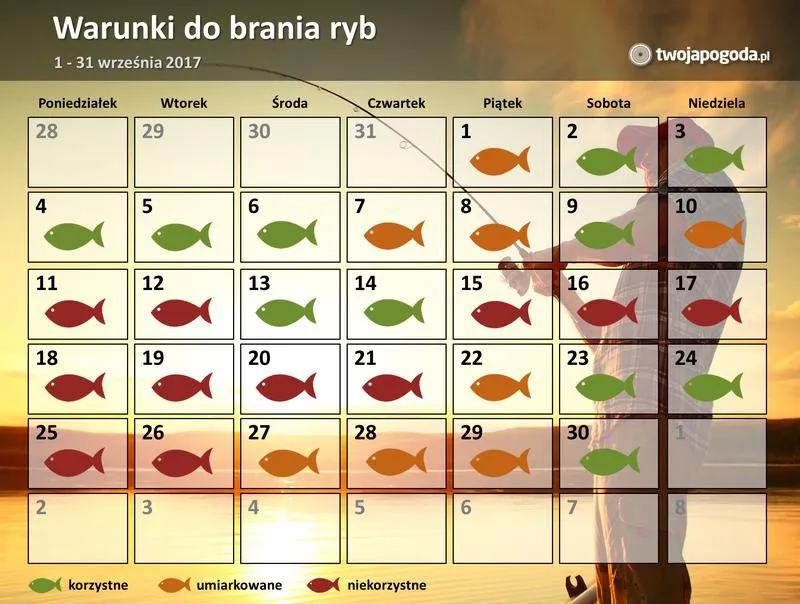 Gatunki ryb w tym tygodniu