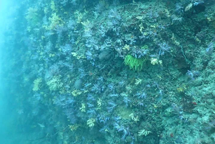 Jakość wody w akwarium