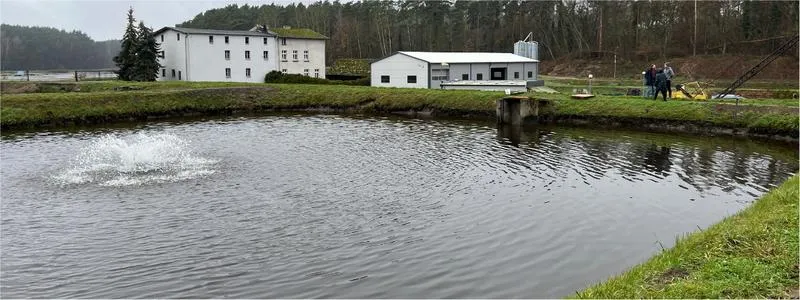 Karma do stawu rybnego