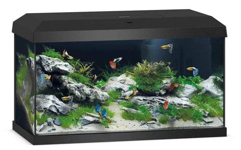 Konserwacja akwarium po czyszczeniu