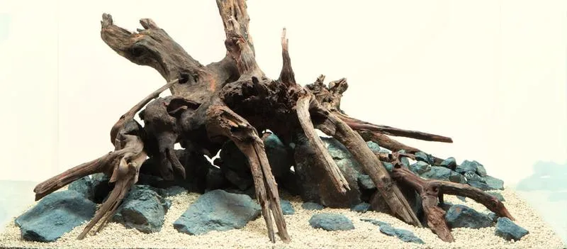 Korzenie do akwarium