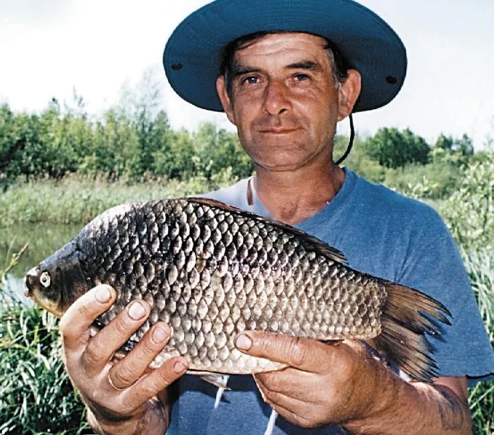 Łowienie dużych karasi