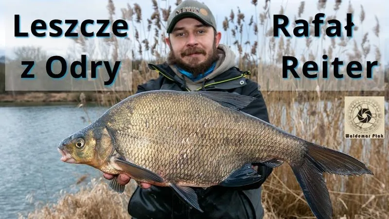 Łowienie leszcza na Odrze