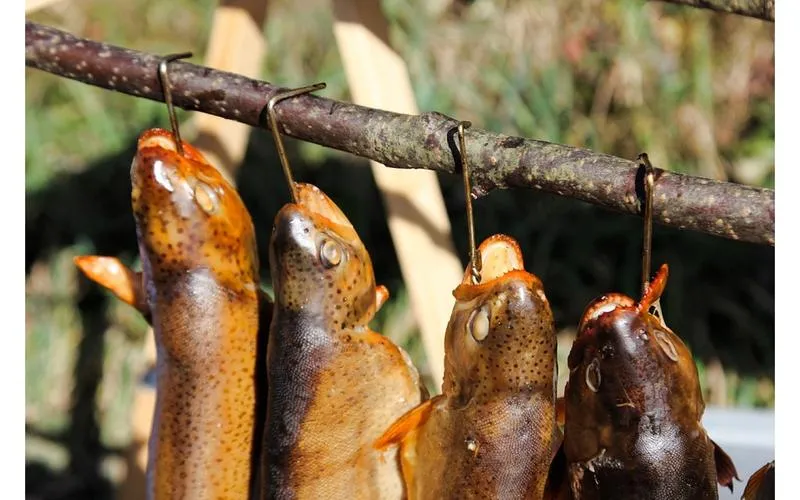 Metody wędzenia ryb