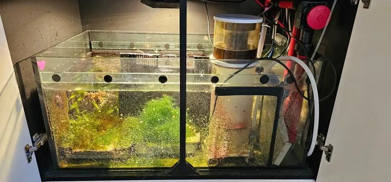 Najczęstsze błędy przy tworzeniu sumpa