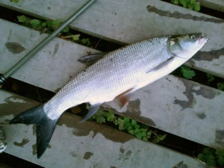 Najlepsze łowiska we wrześniu