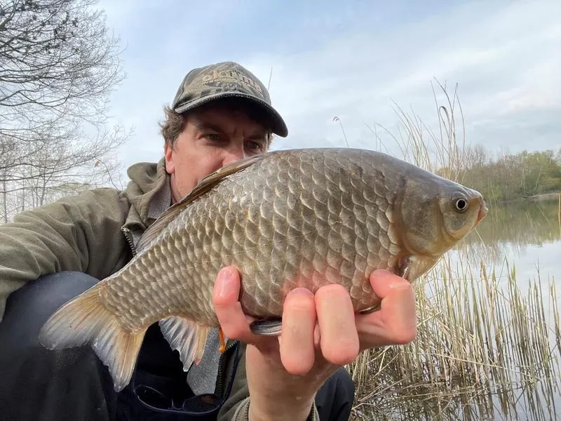 Najlepsze przynęty na karasia