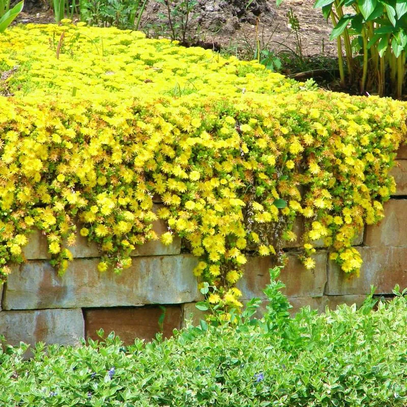 Najlepszy sklep akwarystyczny