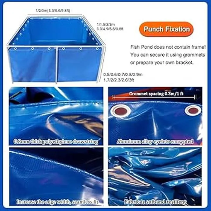 Najpopularniejsze ryby słodkowodne