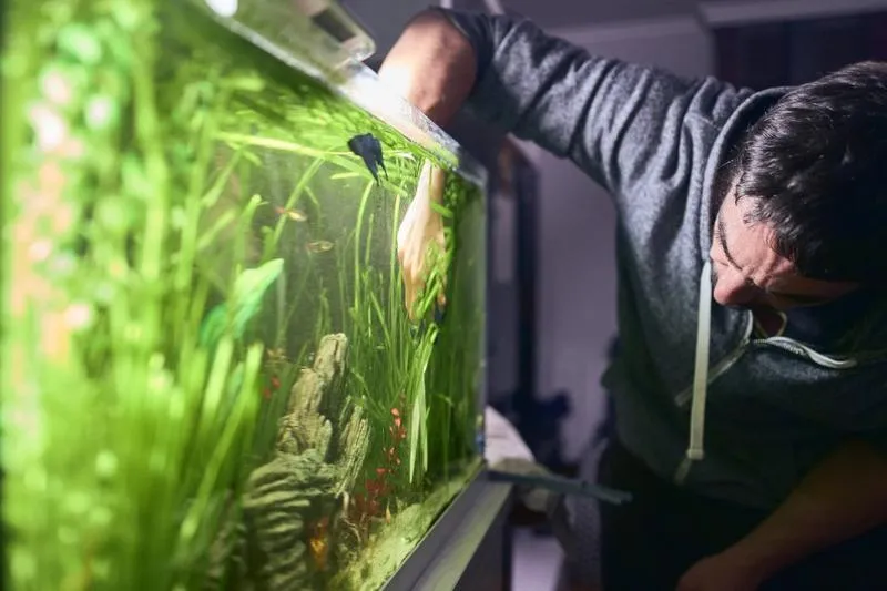 Narzędzia akwarystyczne do czyszczenia