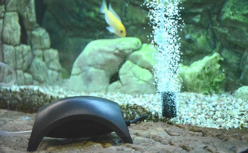 Natlenienie wody w akwarium