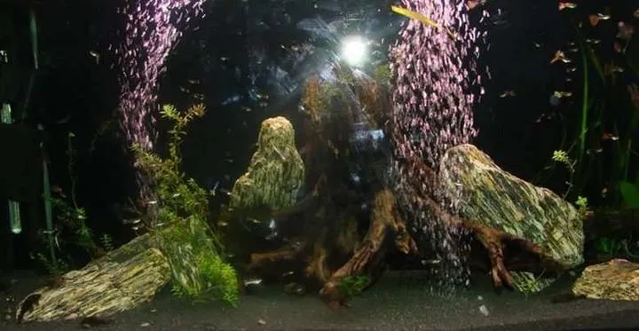 Naturalne metody usuwania rys