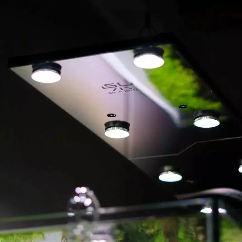 Oświetlenie akwarium