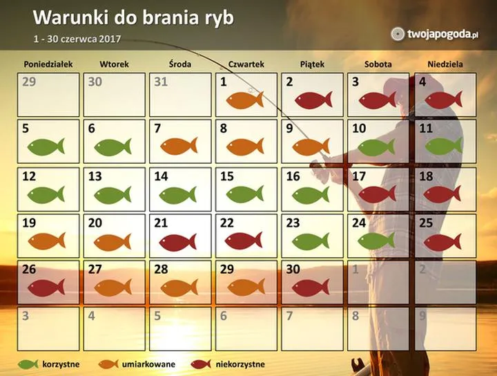 Prognoza brań ryb