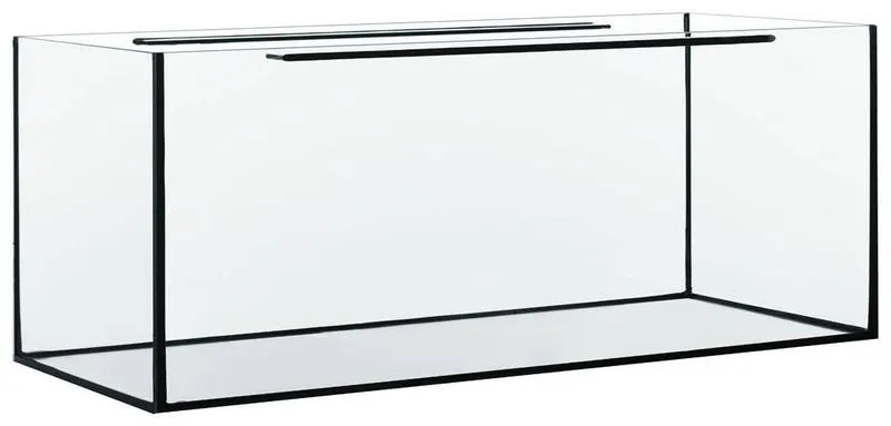 Prowadzenie akwarium jak ekspert