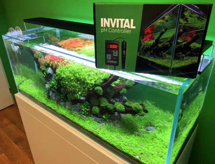 Rośliny akwariowe a stabilność pH